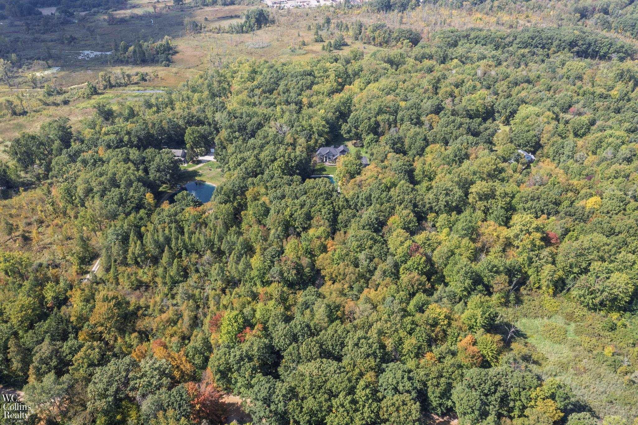 438 State Park Road Ortonville, MI 48462 - Photo 4 of 45