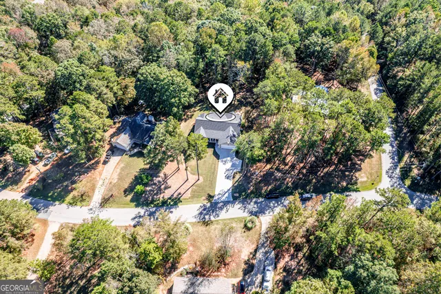 a view of a tree in a yard