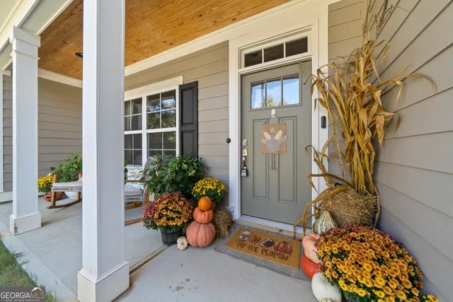 a view of a potted plant in front of a door