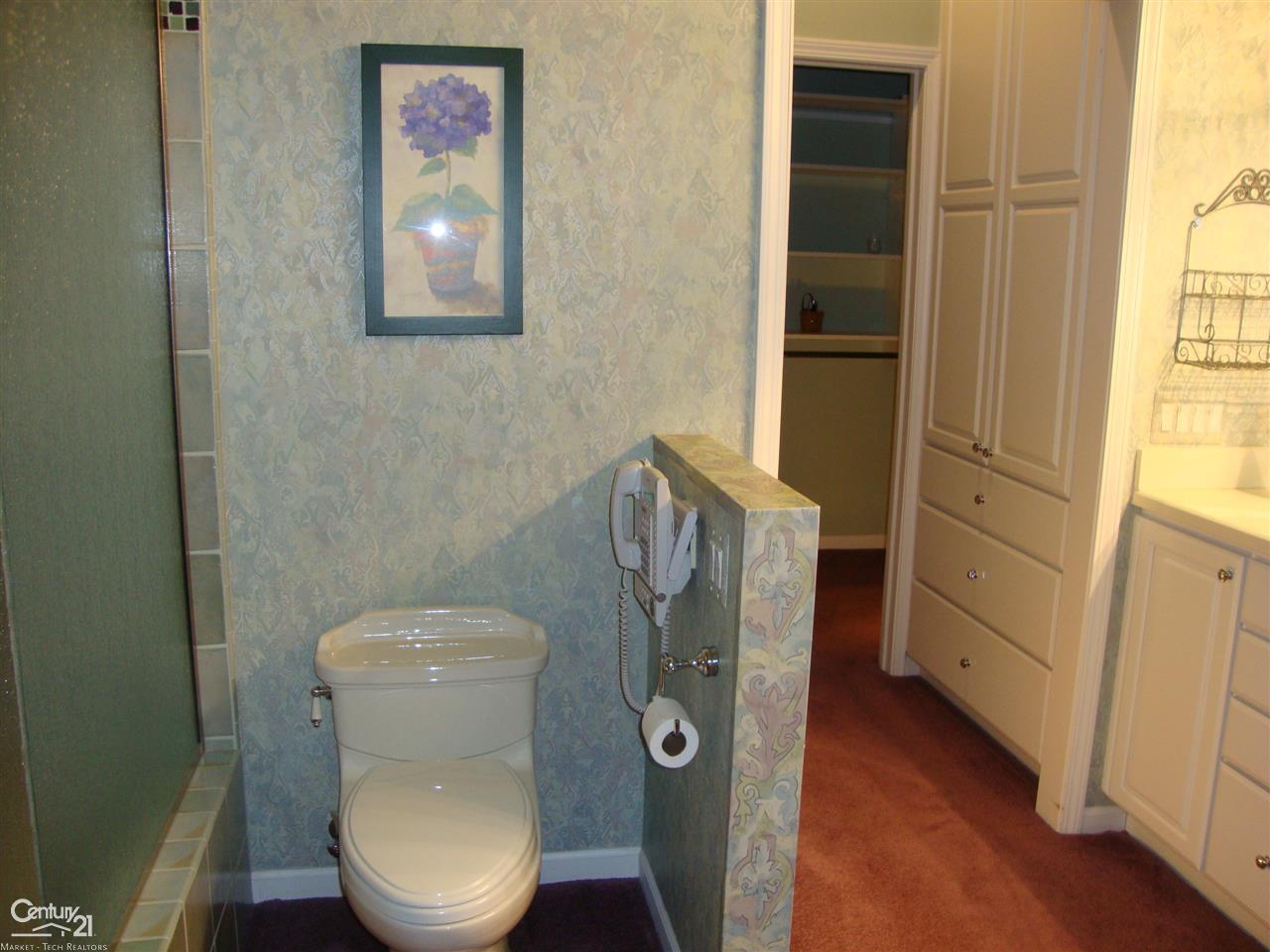 73601 Omo Road Armada, MI 48005 - Photo 35 of 72 Master Bath