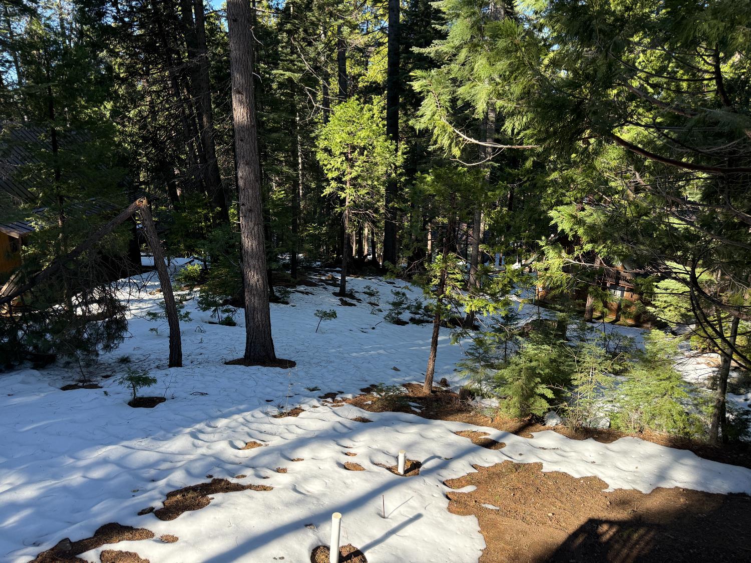 392 Boards Crossing Road Arnold, CA 95223 - Photo 24 of 31 a wooden bench with trees in the background