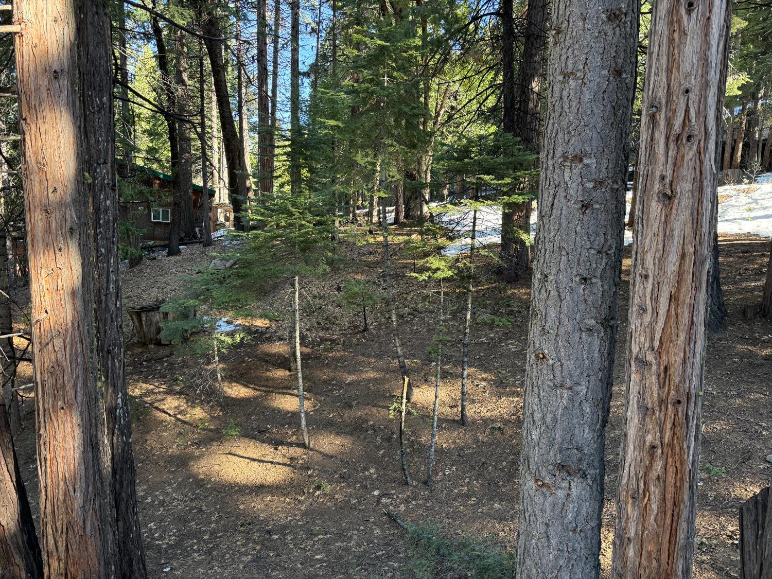 392 Boards Crossing Road Arnold, CA 95223 - Photo 27 of 31 a bathroom with a shower