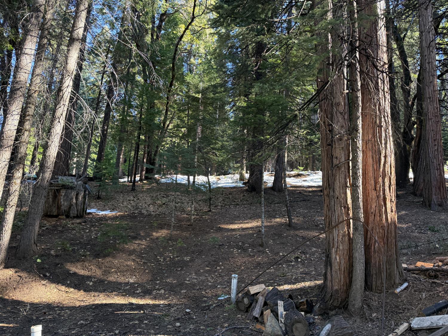 392 Boards Crossing Road Arnold, CA 95223 - Photo 3 of 31 a view of outdoor space with lots of trees