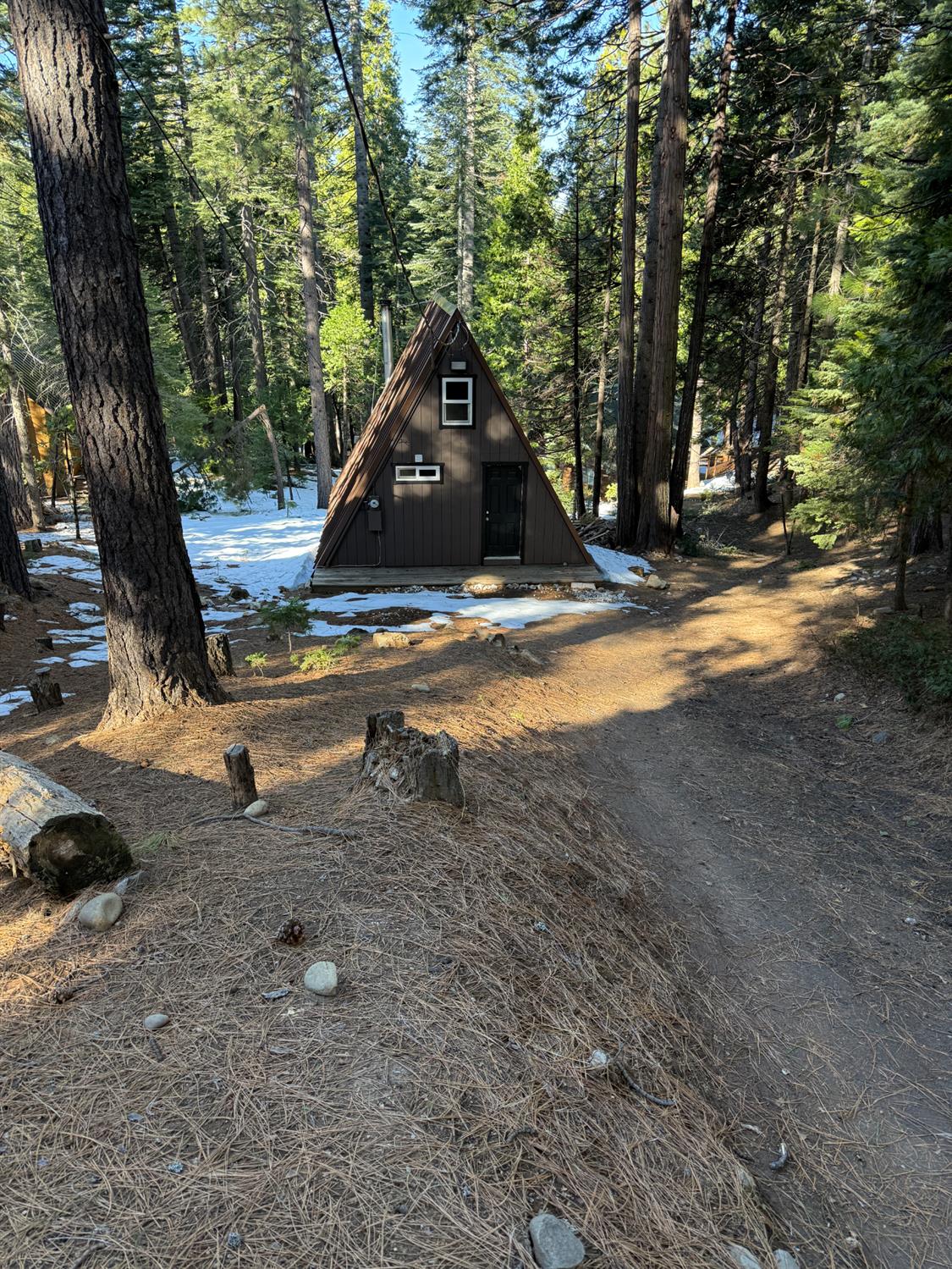 392 Boards Crossing Road Arnold, CA 95223 - Photo 8 of 31 a view of a park with large trees