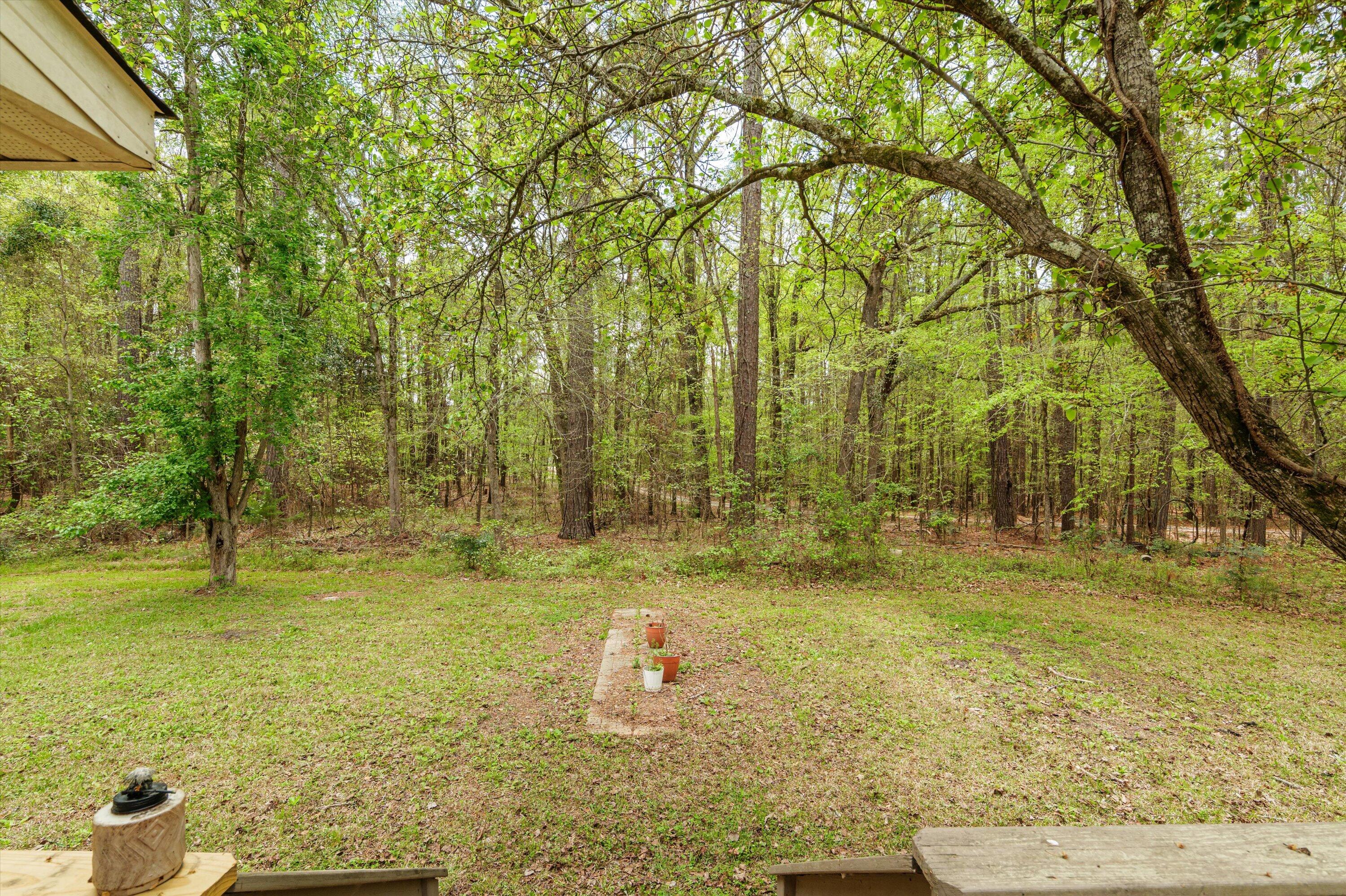 6602 Shucraft Road Appling, GA 30802 - Photo 13 of 61 13-P1964941