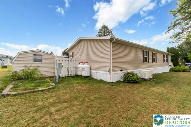a view of a backyard with plants and a large tree