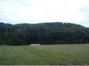 1075 West Pines Road Afton, TN 37616 - Photo 2 of 3 Photo 2
