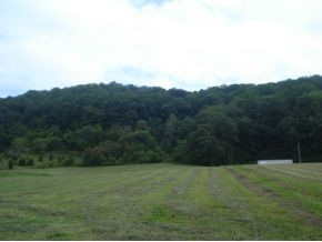 1075 West Pines Road Afton, TN 37616 - Photo 3 of 3 Photo 3