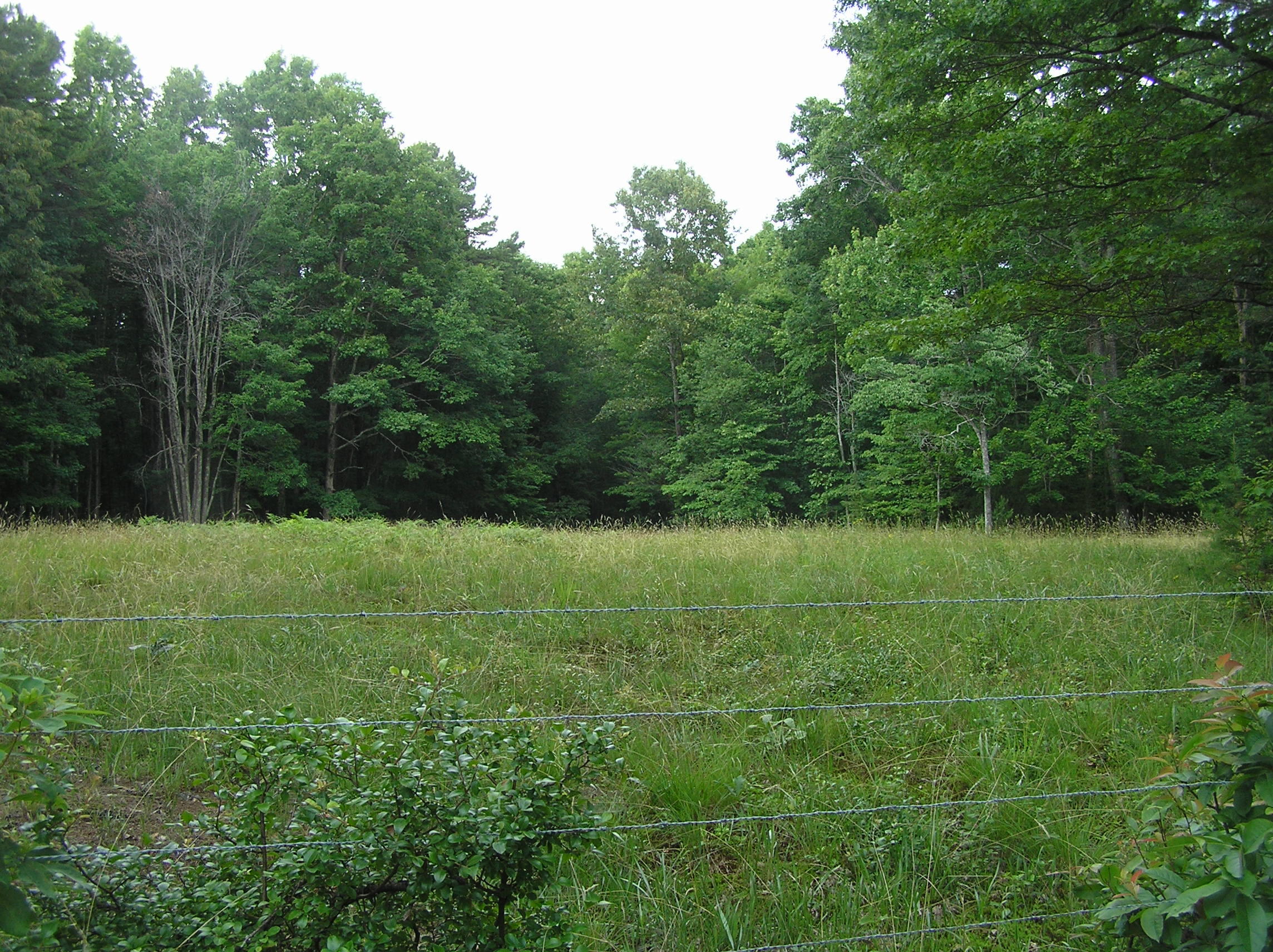 1200 T Crowe Road Soddy-Daisy, TN 37379 - Photo 39 of 41 P1010025