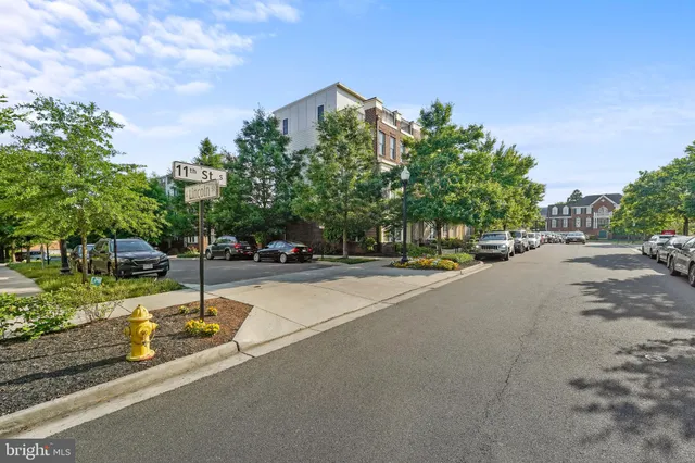 a view of the pathway both side of house