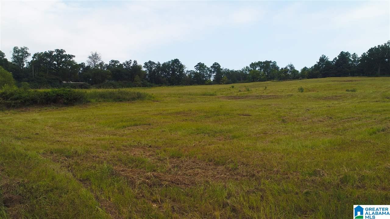 885 Hitching Post Lane, Unit 20 ACRES Birmingham, AL 35210 - Photo 16 of 16