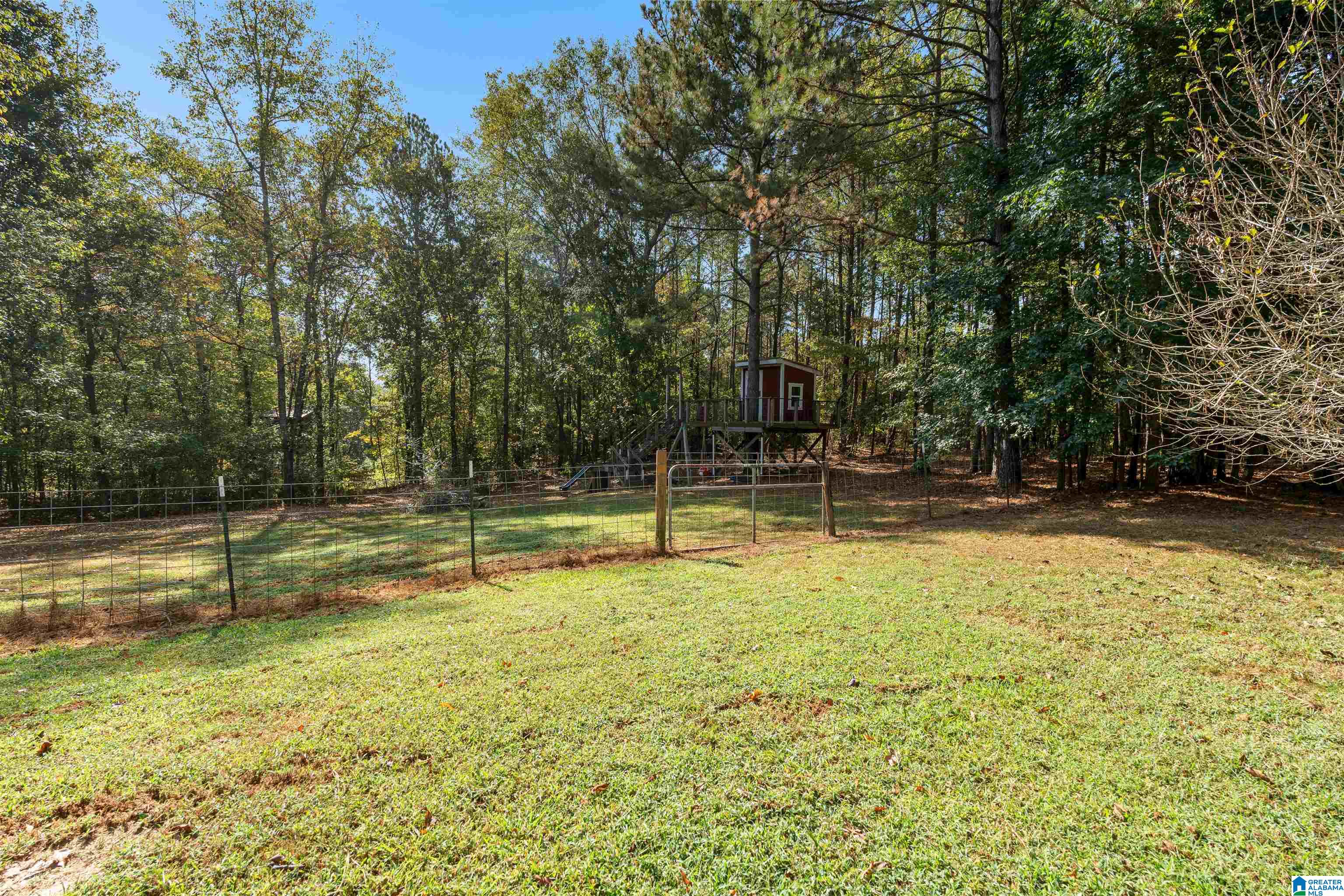 78 County Road 862 Wadley, AL 36276 - Photo 56 of 78