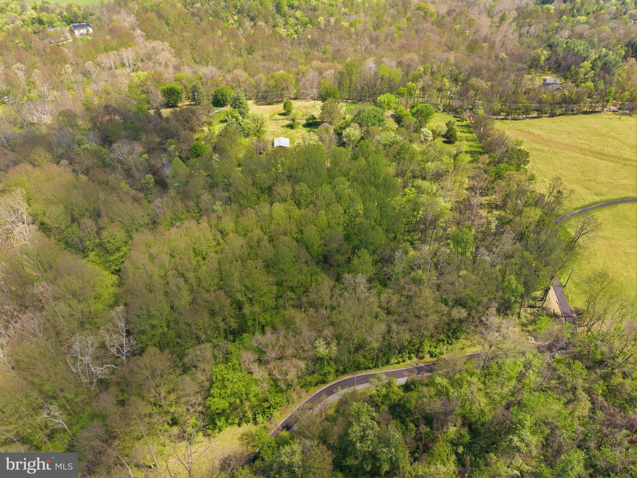 13121 Orrison Road Lovettsville, VA 20180 - Photo 13 of 25