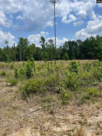 $34,599 | 446 Marsh Road, Islandton, SC 29929