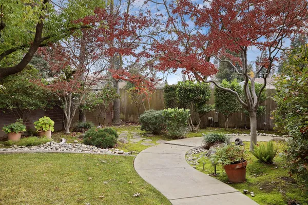 a view of a garden with large tree