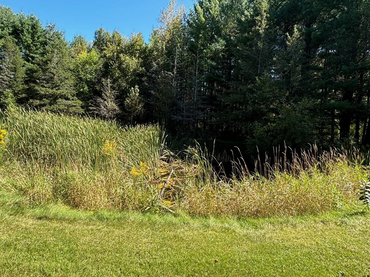 998 Dutcher Road Gladwin, MI 48624 - Photo 41 of 58