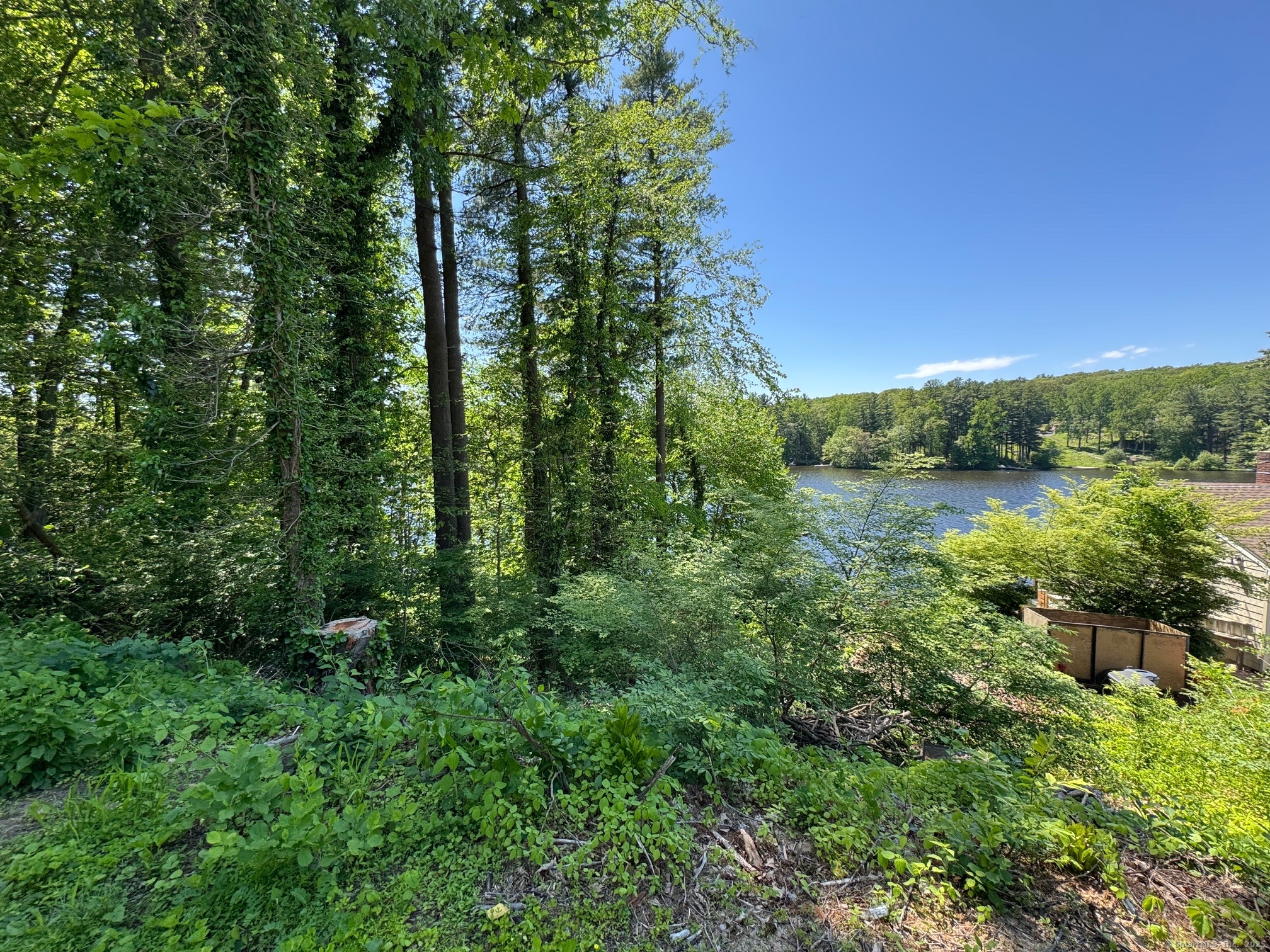 Pinewood Trail Trumbull, CT 06611 - Photo 3 of 3 a view of a forest with a lake