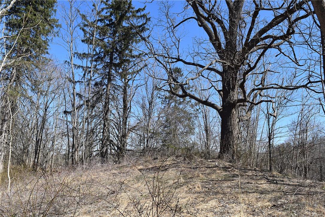 79-85 Miller Road Rhinebeck, NY 12572 - Photo 11 of 16 Acreage