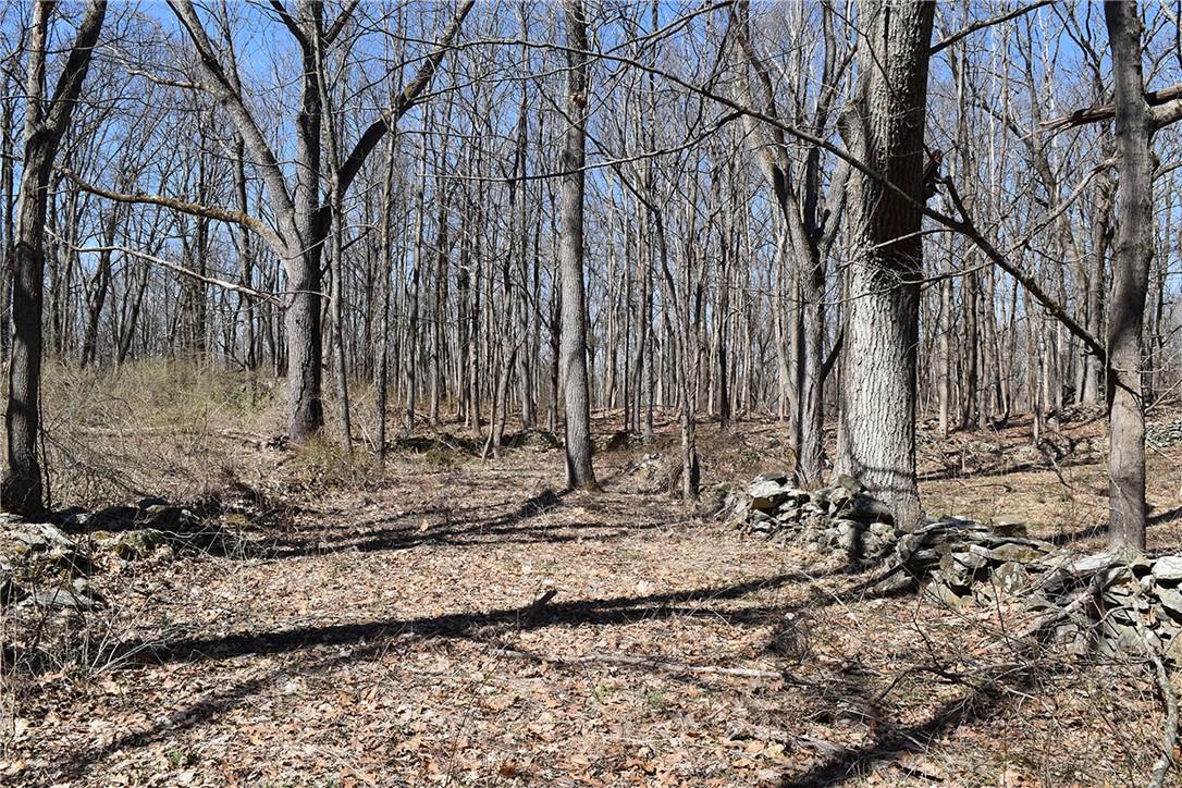 79-85 Miller Road Rhinebeck, NY 12572 - Photo 13 of 16 Acreage