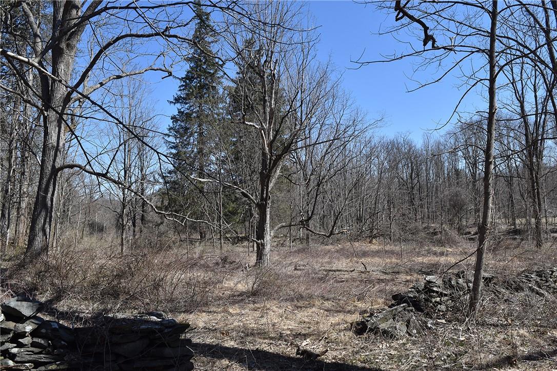 79-85 Miller Road Rhinebeck, NY 12572 - Photo 14 of 16 Acreage