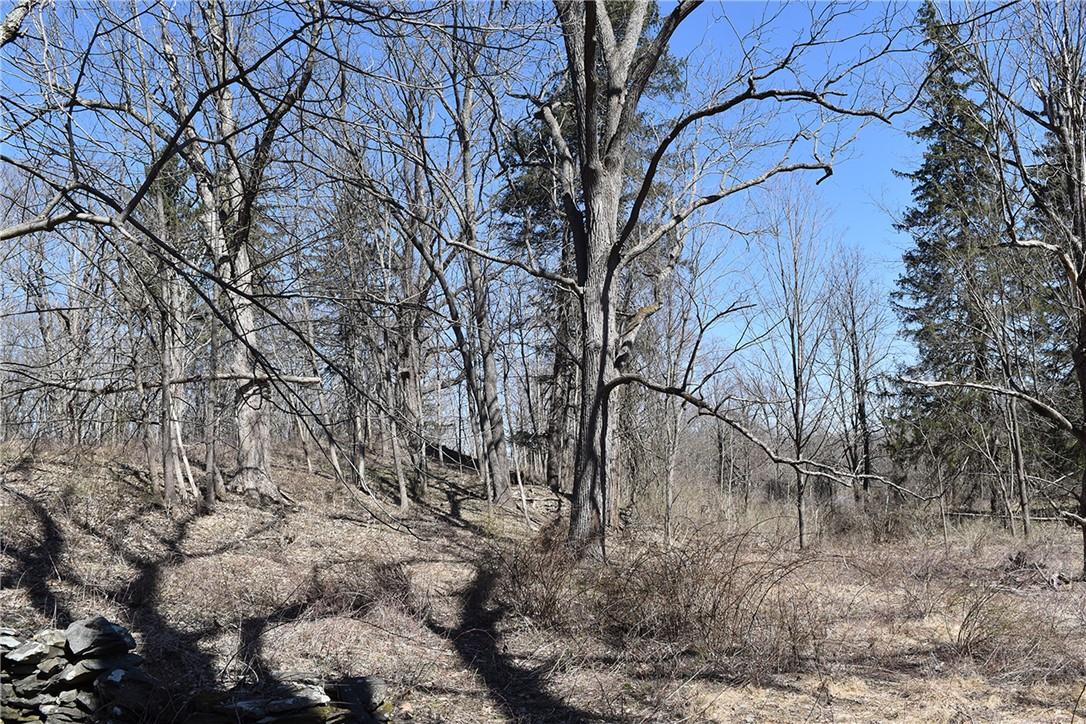 79-85 Miller Road Rhinebeck, NY 12572 - Photo 15 of 16 Acreage