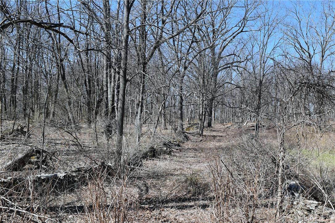 79-85 Miller Road Rhinebeck, NY 12572 - Photo 16 of 16 Acreage