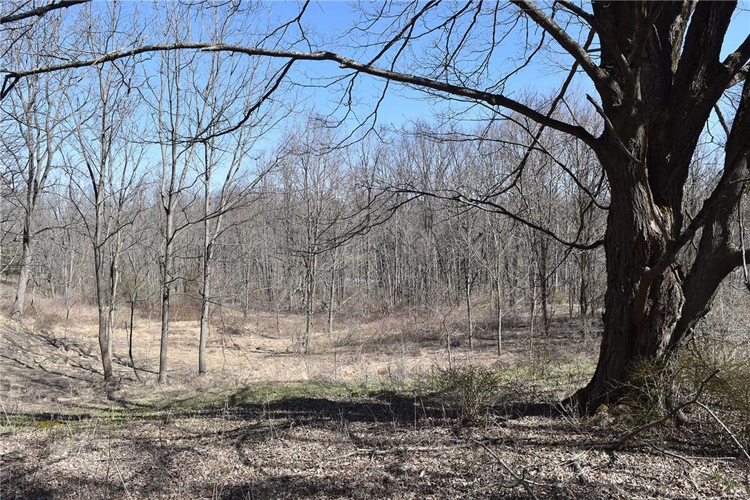 79-85 Miller Road Rhinebeck, NY 12572 - Photo 6 of 16 Acreage