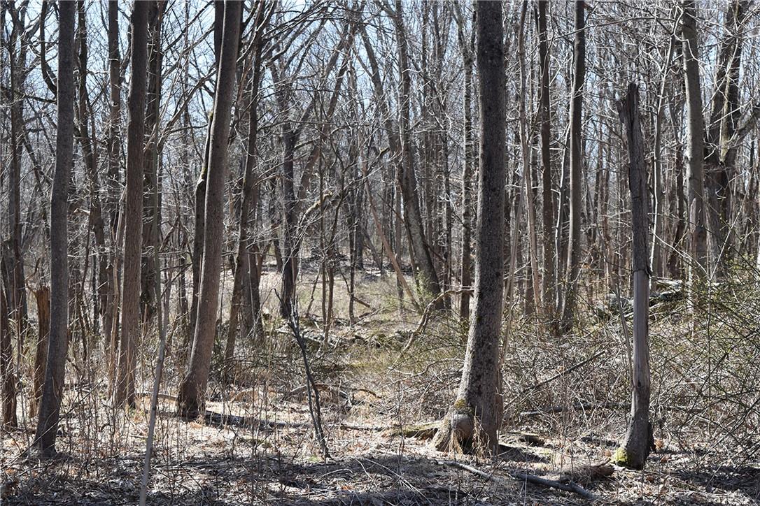 79-85 Miller Road Rhinebeck, NY 12572 - Photo 8 of 16 Acreage