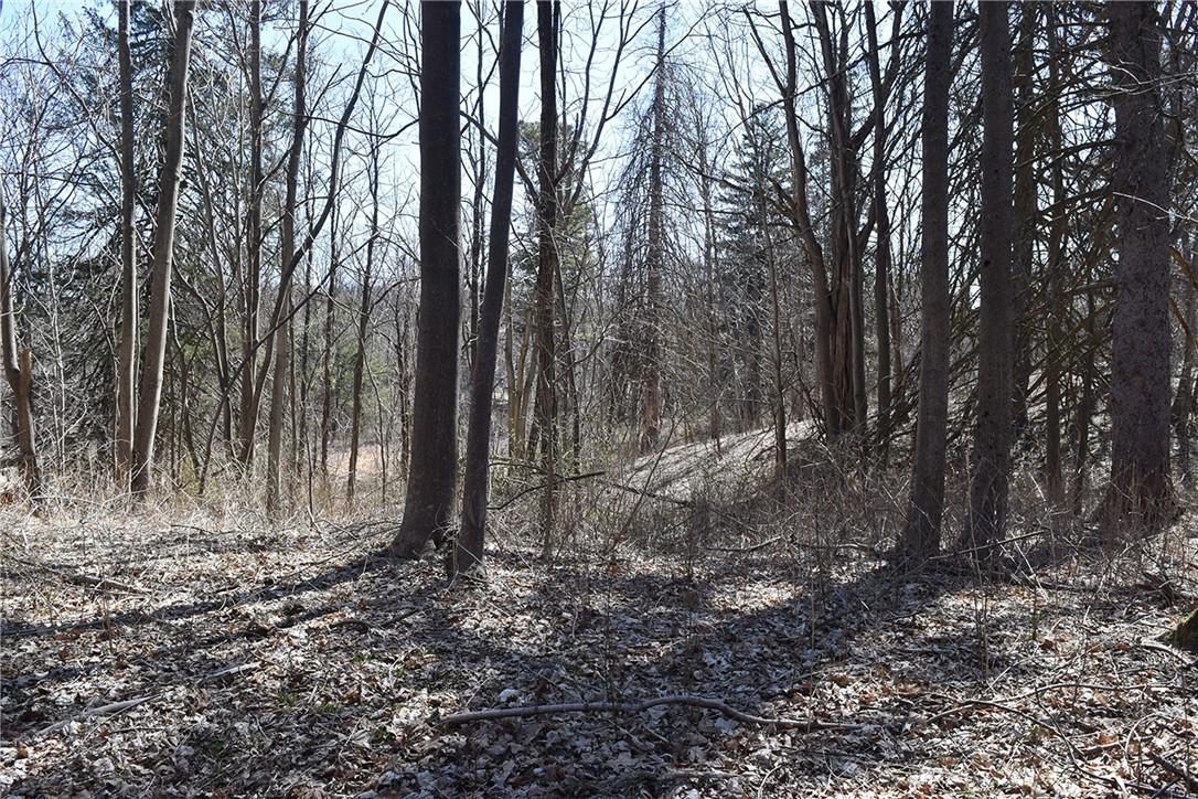 79-85 Miller Road Rhinebeck, NY 12572 - Photo 9 of 16 Acreage