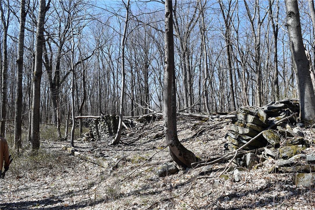 79-85 Miller Road Rhinebeck, NY 12572 - Photo 10 of 16 Acreage