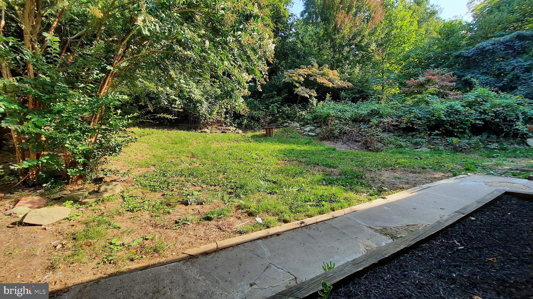317 Long View Road Linden, VA 22642 - Photo 41 of 43 Front Yard & Sidewalk