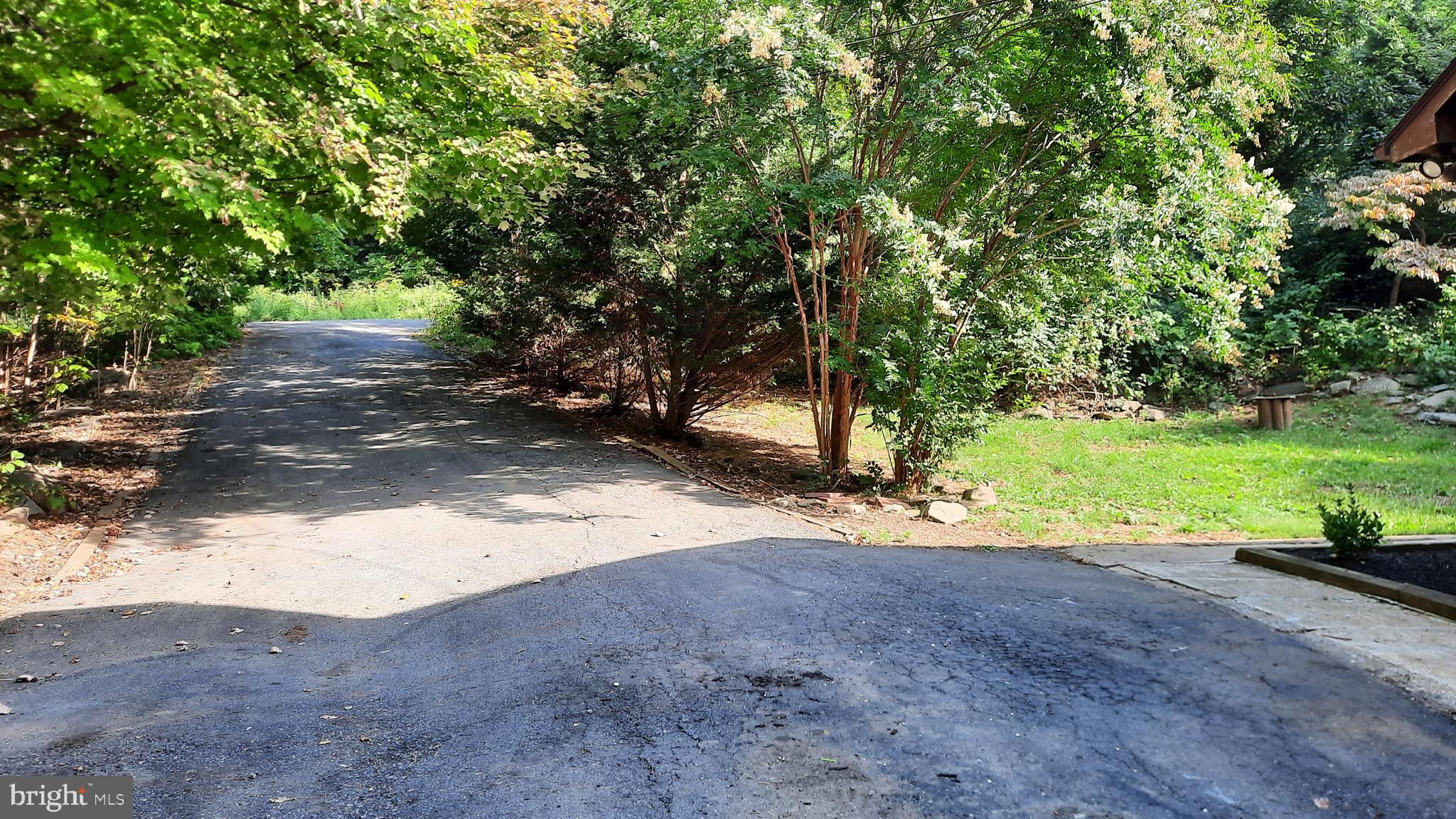 317 Long View Road Linden, VA 22642 - Photo 42 of 43 Driveway