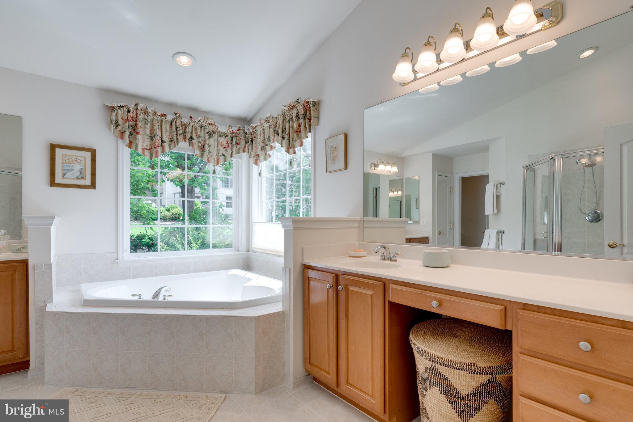 6241 Rolling Spring Court Springfield, VA 22152 - Photo 44 of 65 master bathroom