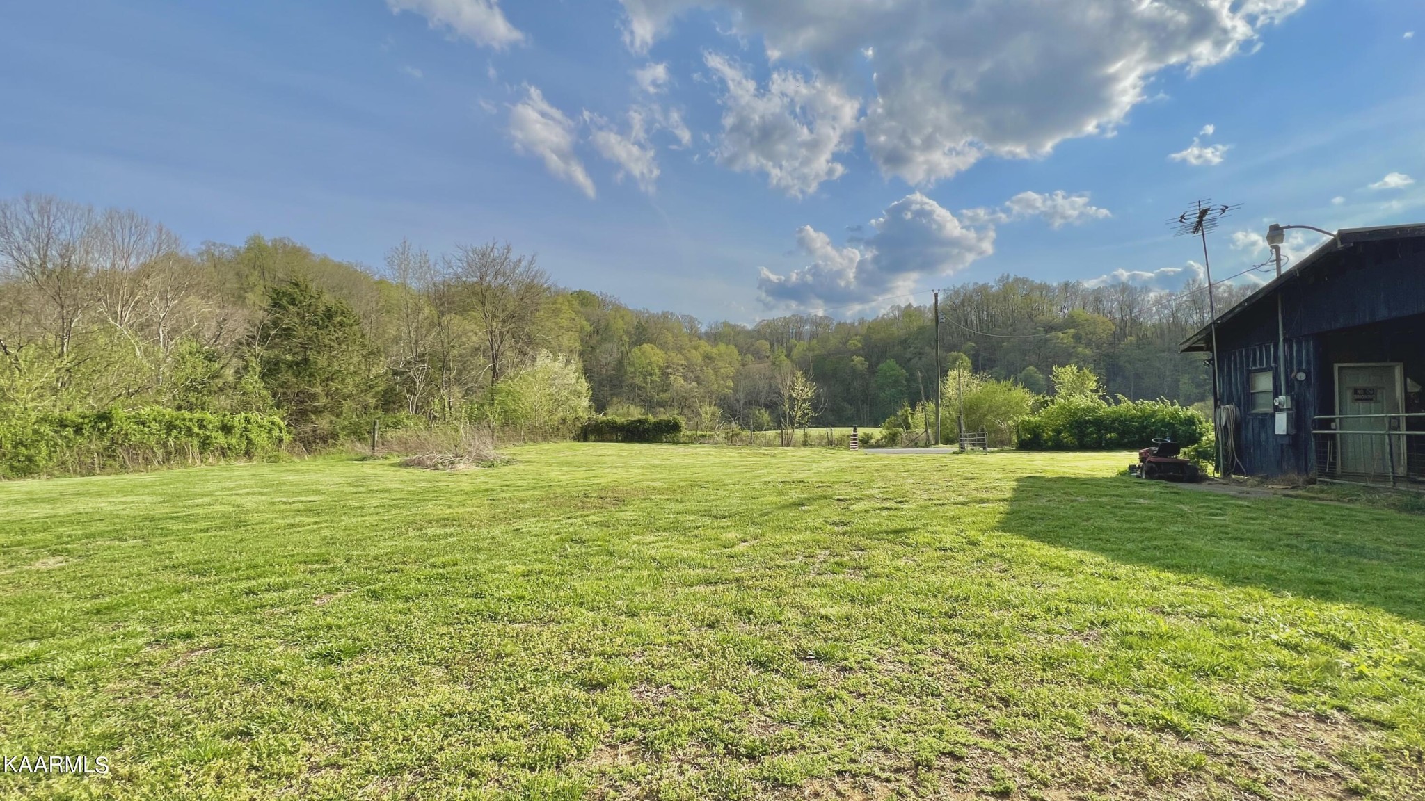 1560 Dripping Springs Road Seymour, TN 37865 - Photo 13 of 46