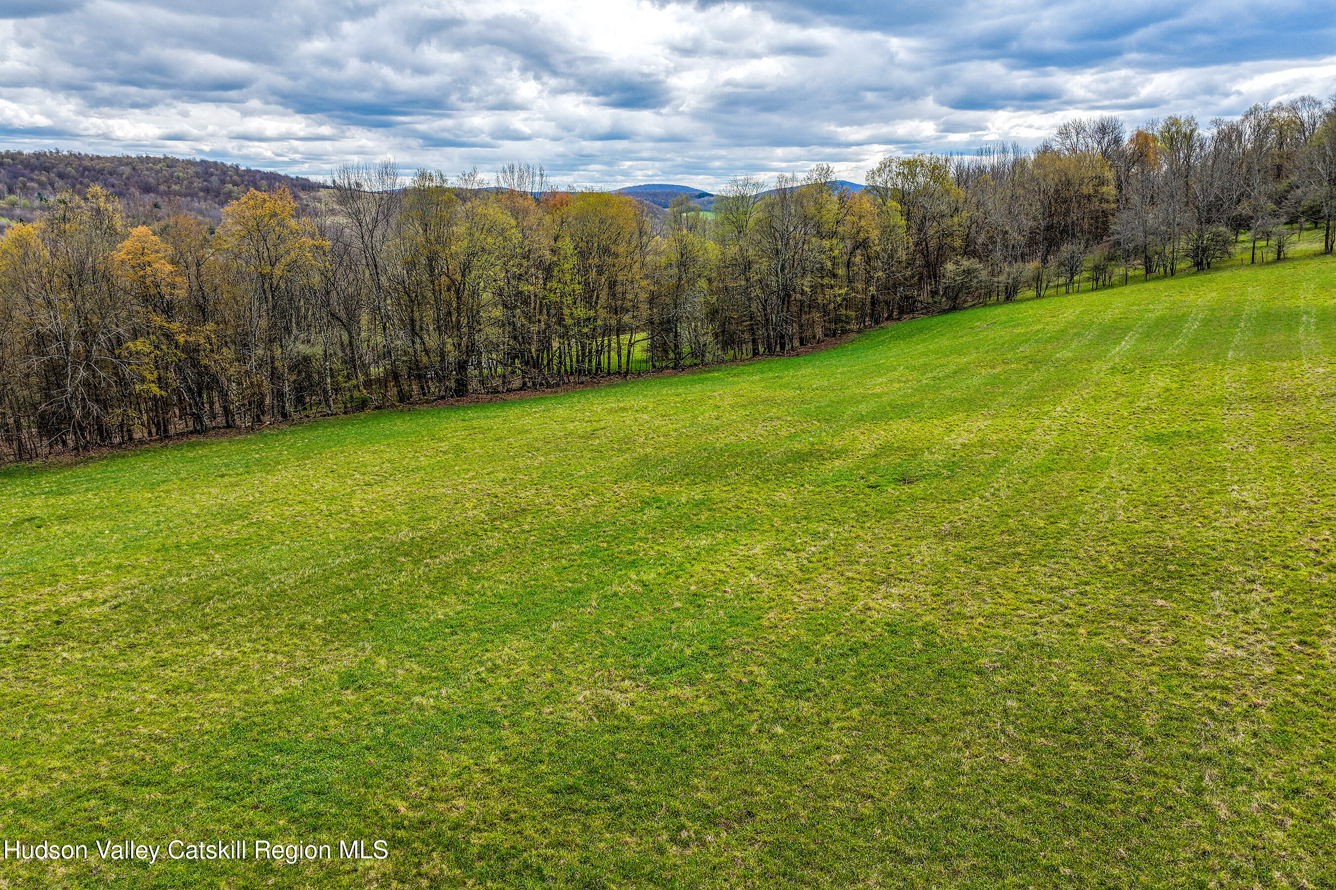 0 Brownell Road Bloomville, NY 13739 - Photo 37 of 39 23 acres Brownell Rd -- 035