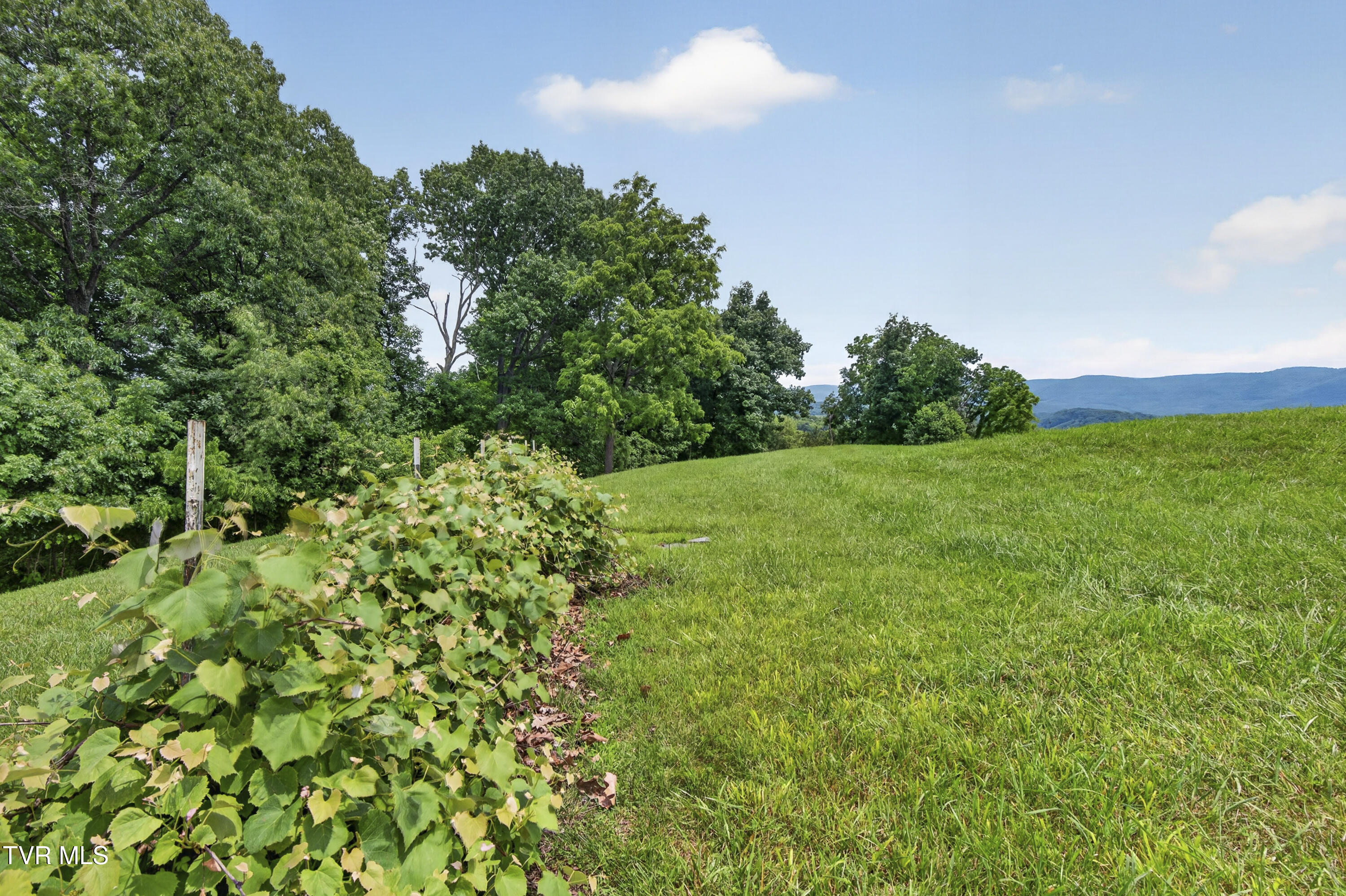 15277 Bishop Road Chilhowie, VA 24319 - Photo 115 of 126 Bishop-21