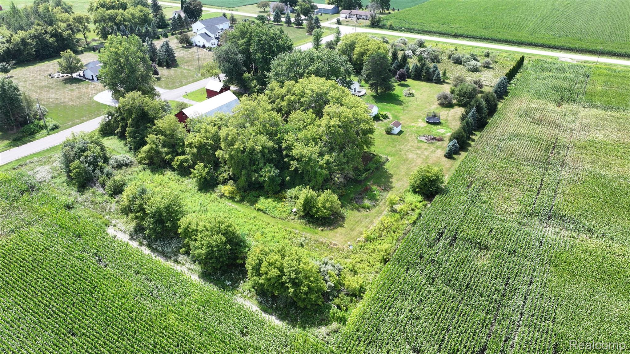 12930 Wilkinson Road Freeland, MI 48623 - Photo 33 of 76 Expansive property featuring mature trees, surrounding agricultural fields, a paved road, and multiple structures including a red barn
