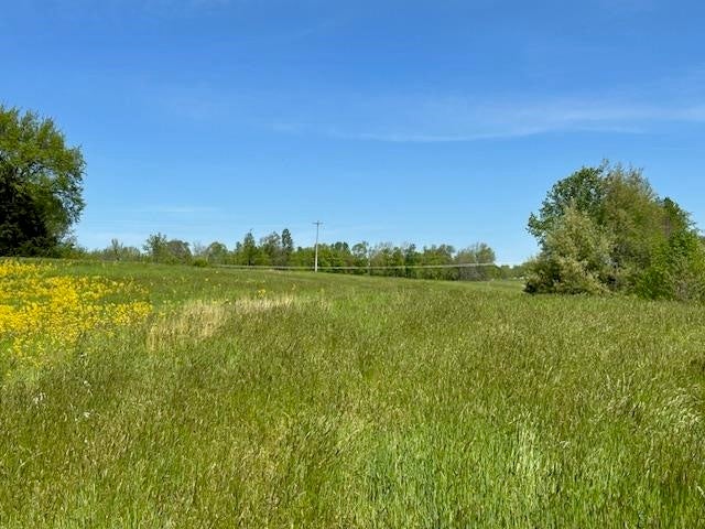 4401 Cedar Flat Curtis Road Edmonton, KY 42129 - Photo 1 of 1 Gallery Image 1
