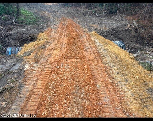 Delancey Road Braxton, MS 39044 - Photo 6 of 9 61 AC DIRT RD 2