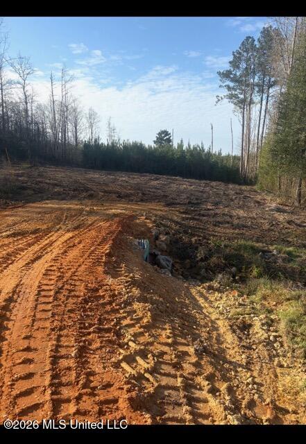 Delancey Road Braxton, MS 39044 - Photo 7 of 9 61 AC DIRT RD 3