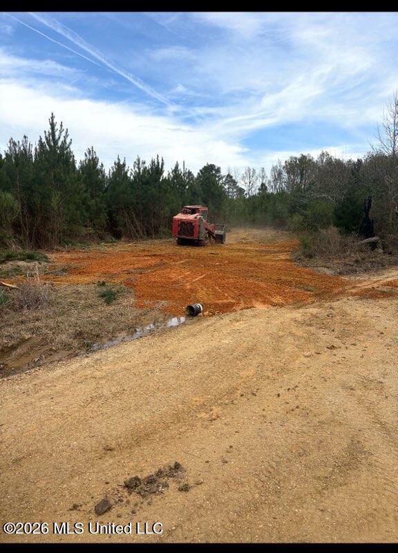 Delancey Road Braxton, MS 39044 - Photo 8 of 9 61 AC DIRT RD 4