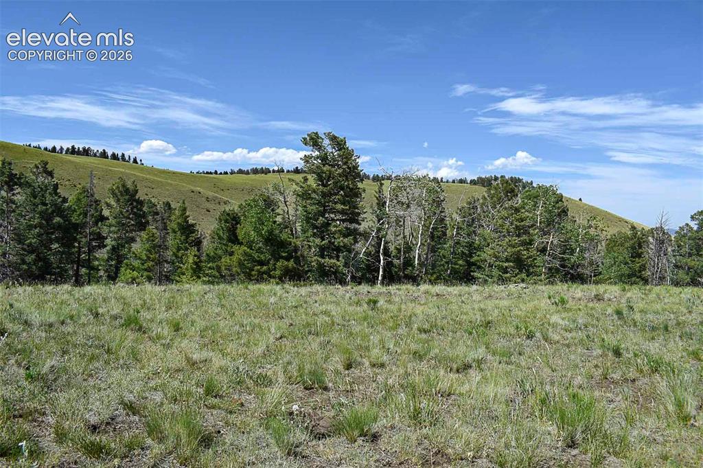 0 Bear Cat Road Guffey, CO 80820 - Photo 24 of 40