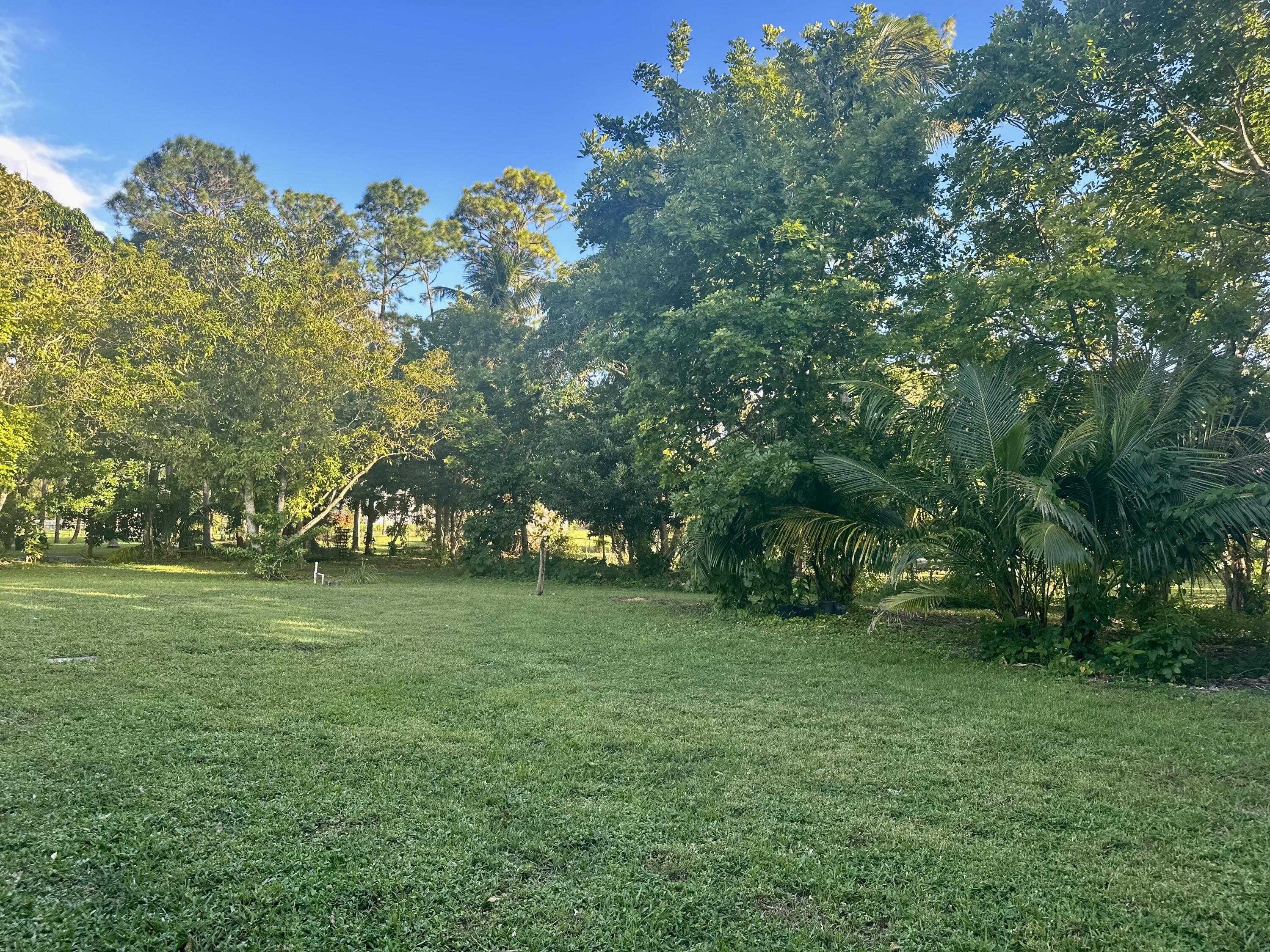 15728 86th Road North Loxahatchee, FL 33470 - Photo 10 of 20 MATURE TREES
