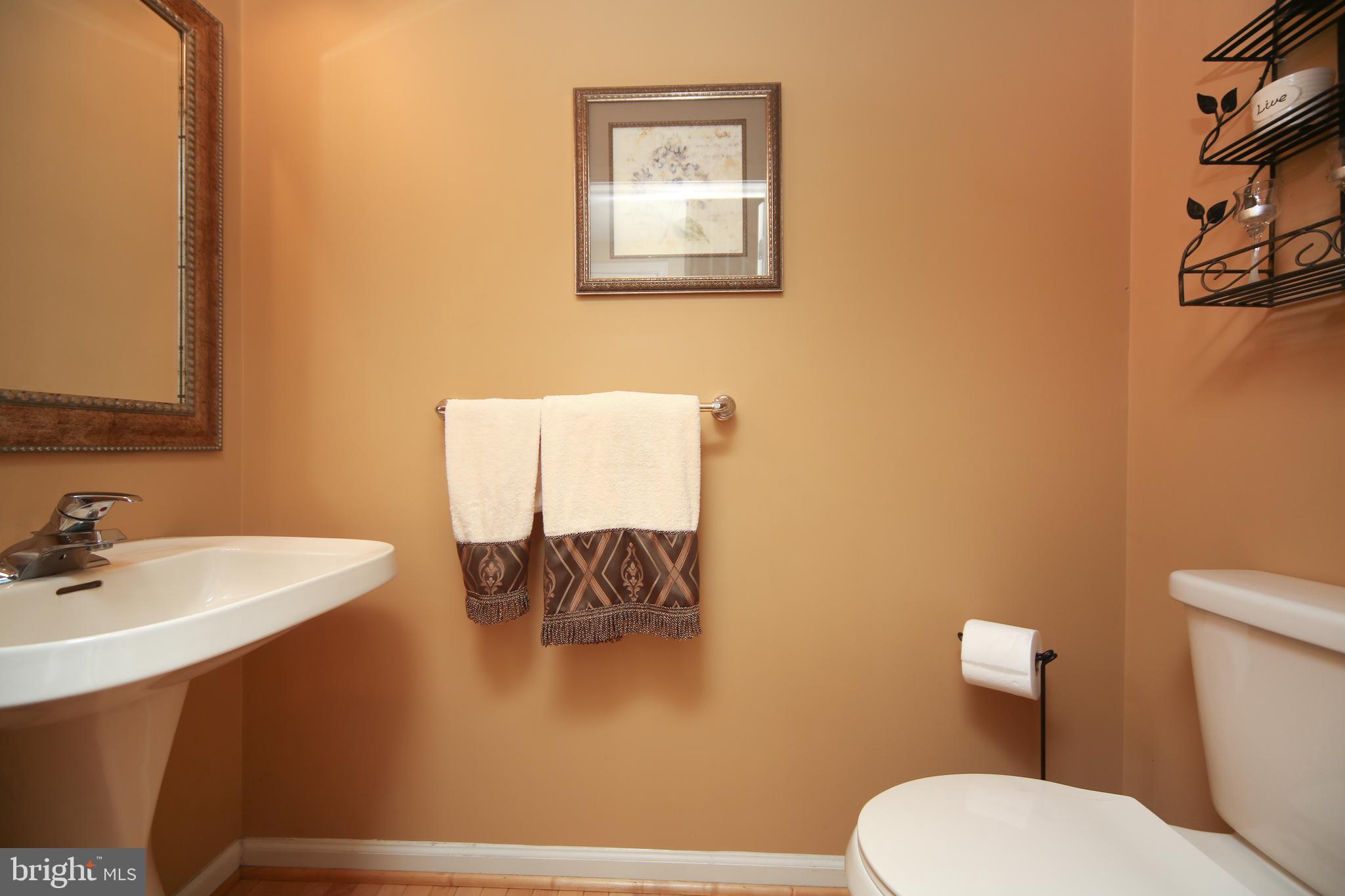 5503 Sanderling Road Doylestown, PA 18902 - Photo 13 of 35 Powder Room