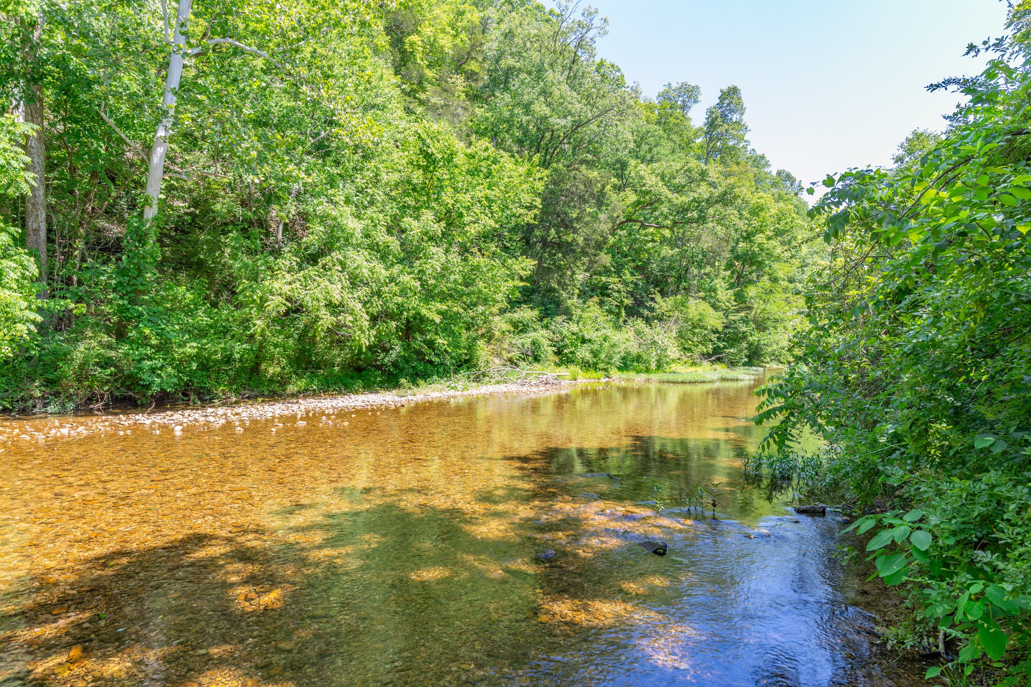 615 Little Swan Creek Road Hohenwald, TN 38462 - Photo 54 of 66