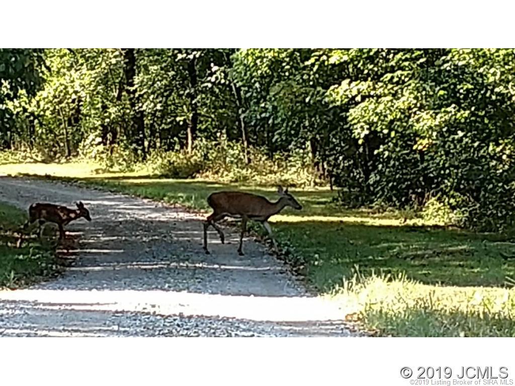 892 North Bee Camp Road Madison, IN 47250 - Photo 27 of 36