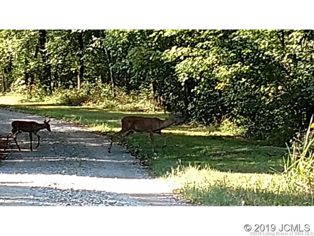 892 North Bee Camp Road Madison, IN 47250 - Photo 28 of 36