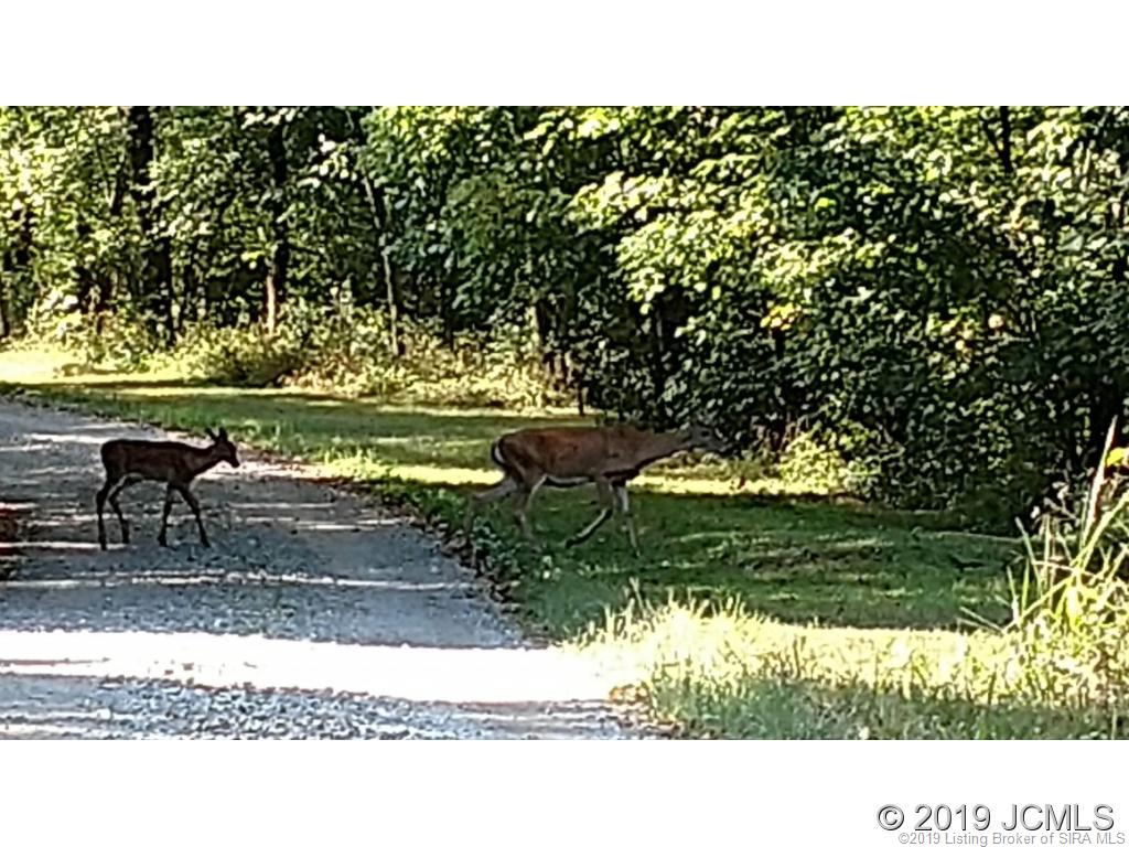 892 North Bee Camp Road Madison, IN 47250 - Photo 29 of 36