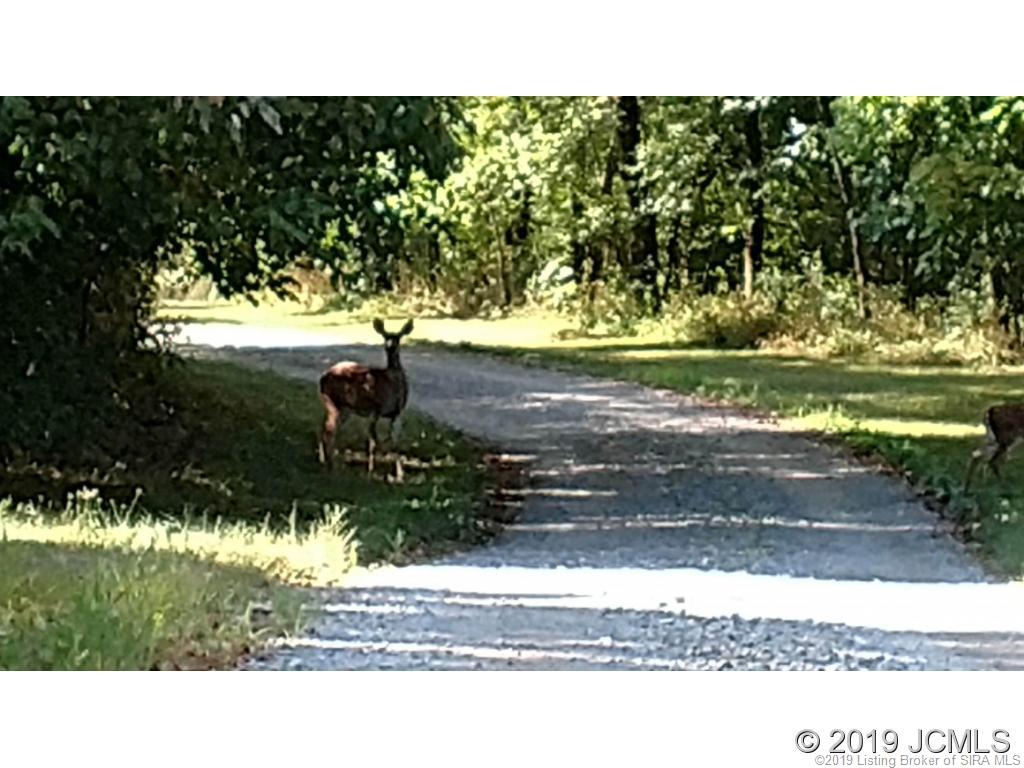 892 North Bee Camp Road Madison, IN 47250 - Photo 30 of 36