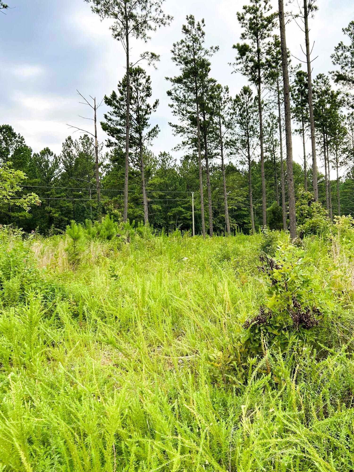 9 Hughes Lake Road Southeast Cleveland, TN 37323 - Photo 4 of 5